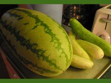 watermelon.jpg