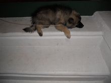 DSCN0461.JPG