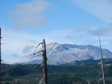 DSC_0056.jpg