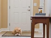 IMG_3306-2.jpg