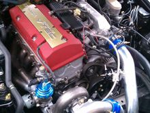 IMAG0517.jpg