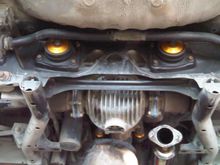 Exedium Racing Collars Installed