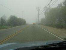 1fog.jpg