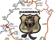 Diamondback_2011
