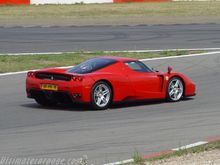 enzo2.jpg