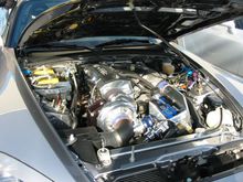 IMG_0174.JPG
