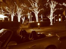 xmas11.jpg