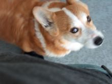 HPIM0048.JPG