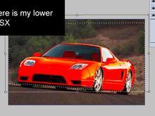 lowerd.jpg