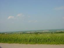 DSC00073.jpg