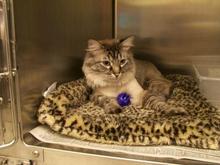 Leon @vet2.JPG