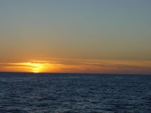 DSC00742.JPG