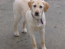 Maggie2-21.jpg