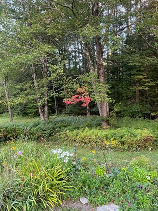 First signs of fall.