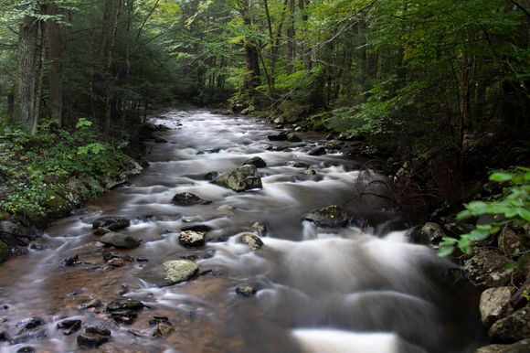 Whiting River near Campbell Falls