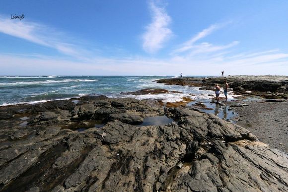 On Ocean Drive, Newport, RI