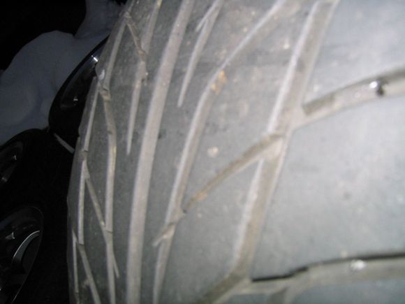 IMG_1525.JPG.jpg
