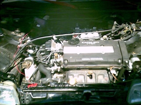 enginebay.JPG