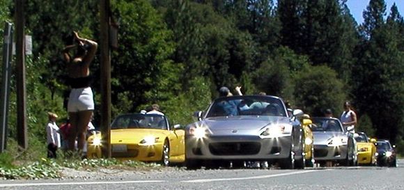 roadside 3.JPG