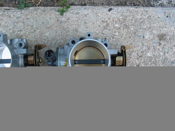 proflow 003.jpg