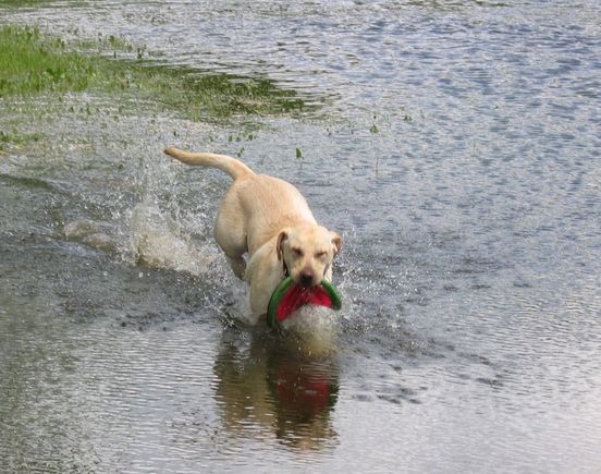 Maggie06-01.jpg
