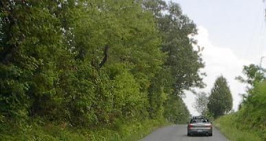 Cville7.jpg