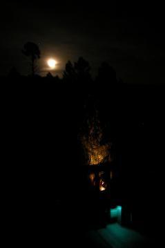 Lights of deck_tree_moon