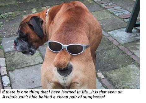 Sunglasses.jpg