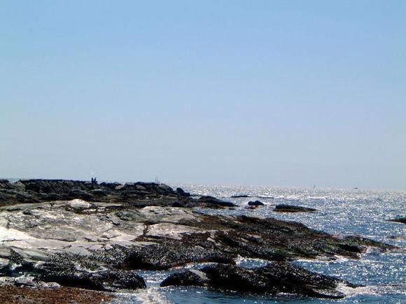 newport3.jpg