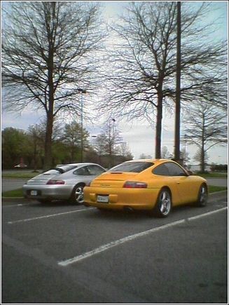 silver &amp; yellow carrera.jpg