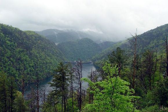 d5.jpg