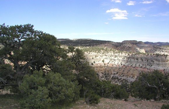 Utah9.JPG