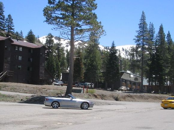 SacS2k4 058.jpg