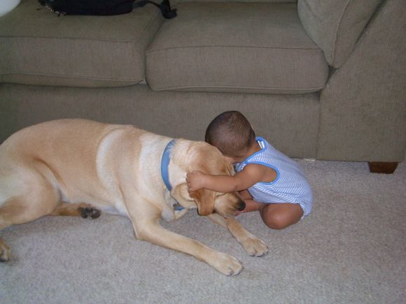 dog and babe