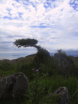 Par0056.JPG