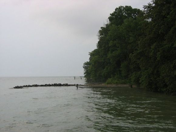 web0031.JPG