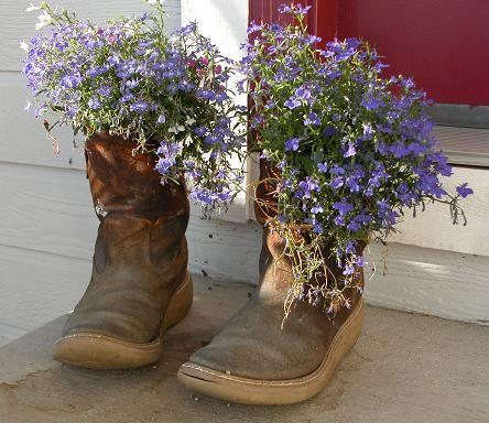 050720 CO, Nancy's boots.JPG