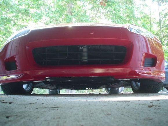 Raptor 009.jpg
