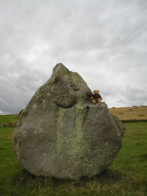 stookysmall7.jpg