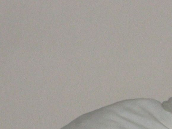 Picture 127.jpg