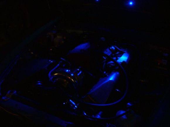 wanker lights 019.jpg