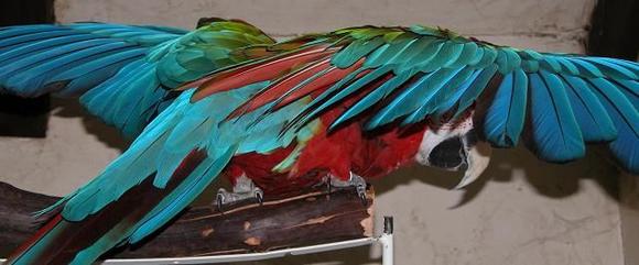 051103 Ms. Bird 4255.JPG