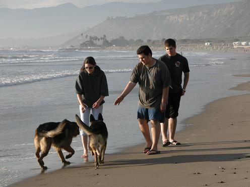 051125 Kids and dogs 4364.JPG