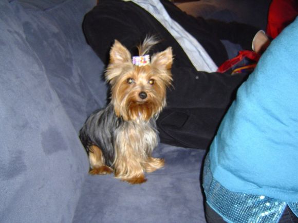 Christmas2005 009.jpg