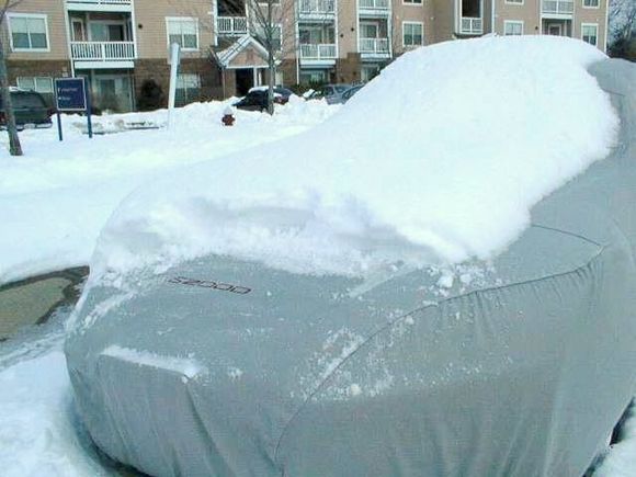 Hibernation.jpg
