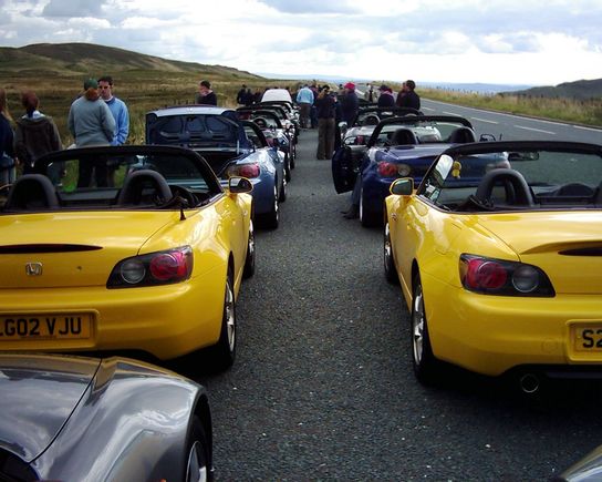 two yellow arses togever.JPG