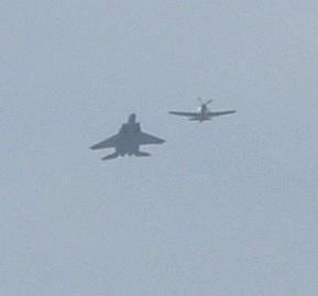 Eagle and Mustang in formation.jpg