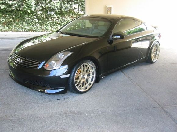 19" Gold Volks SF Winnings