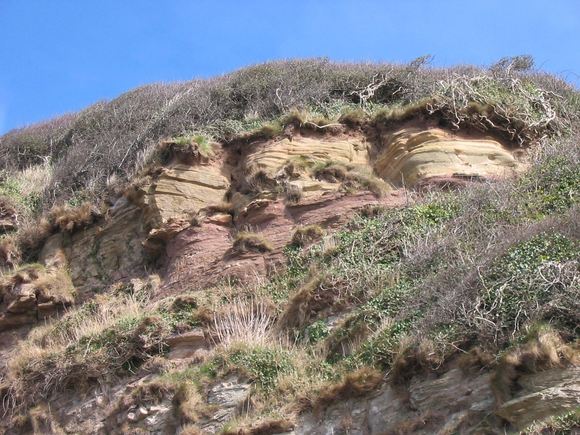 Image4.jpg