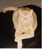 DSC00037_jojo.JPG